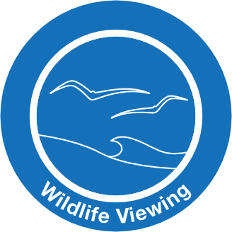 Wildlife Viewing